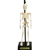 Graham & Green Toys & Dolls<Anatomical Skeleton Model
