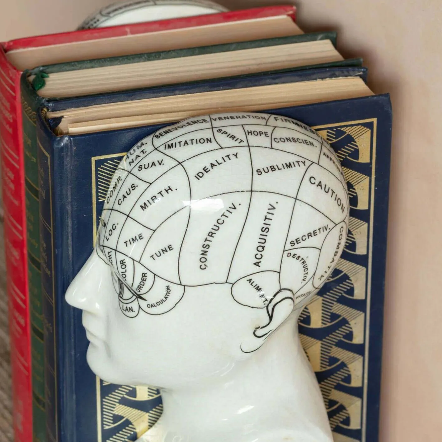Graham & Green Bookends & Paperweights|Decorative Accessories<Antiqued Phrenology Head Bookends