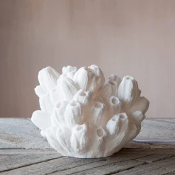 Graham & Green Table Lamps<Arbuscular Coral Lamp