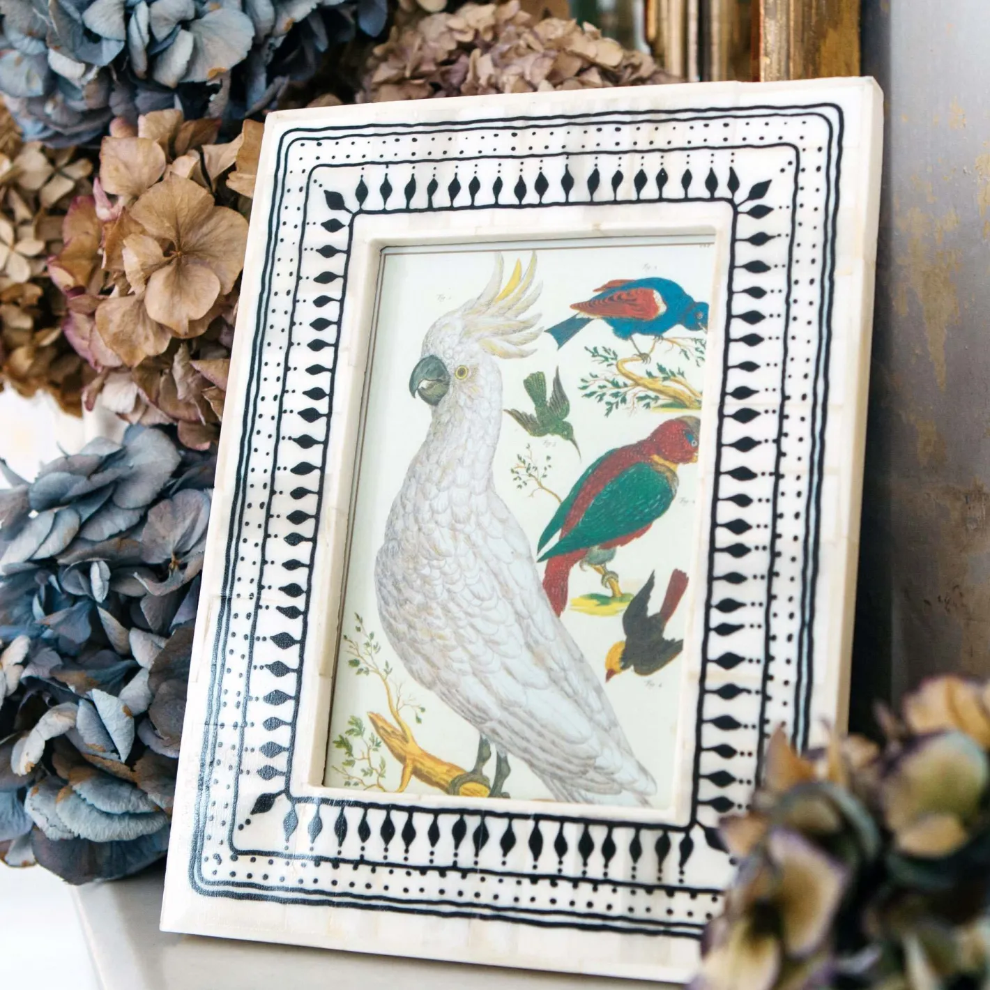 Graham & Green Photo Frames<Black and White Print Bone Frame