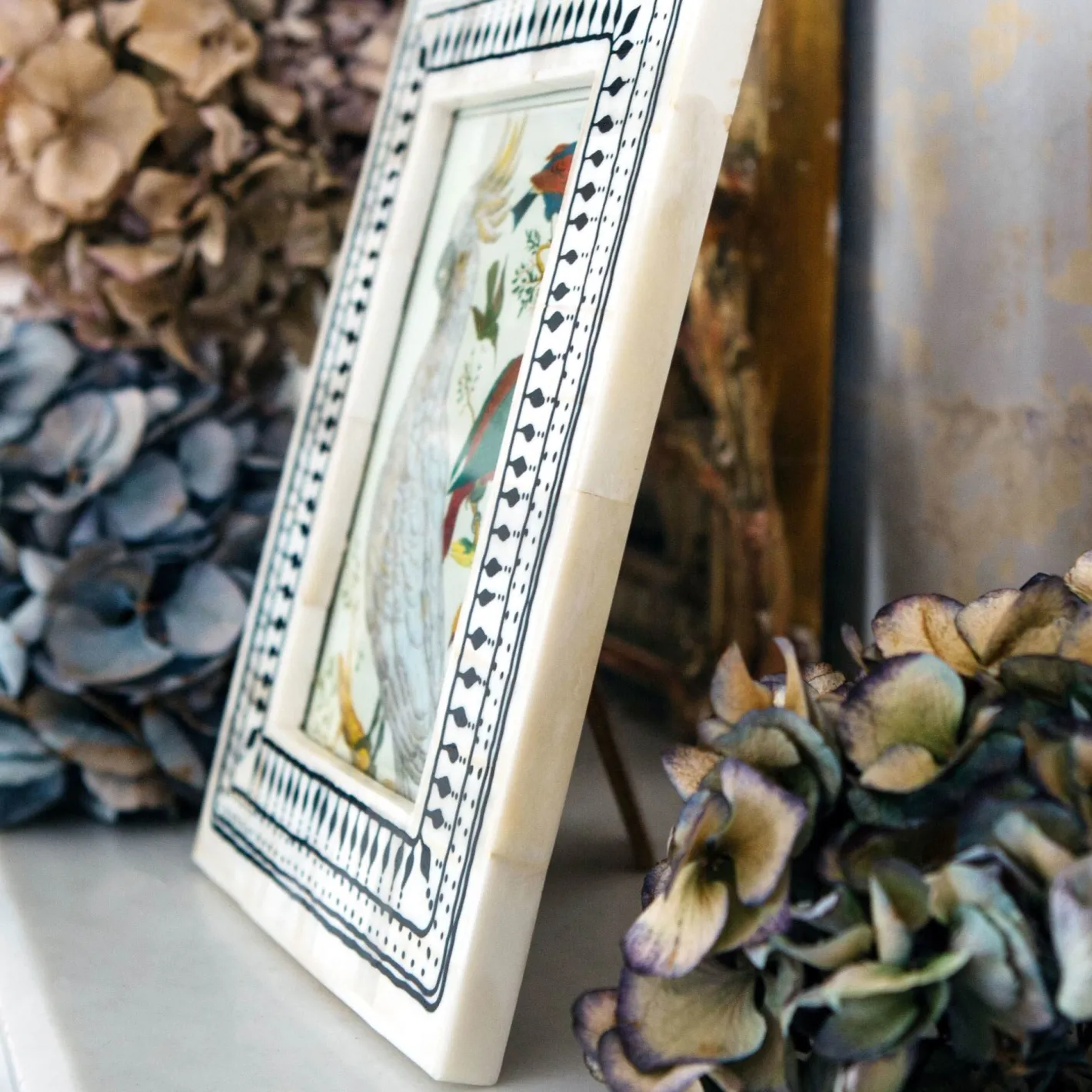 Graham & Green Photo Frames<Black and White Print Bone Frame