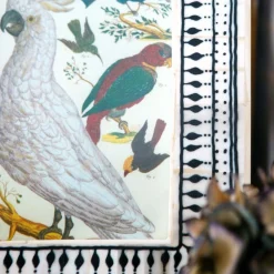 Graham & Green Photo Frames<Black and White Print Bone Frame