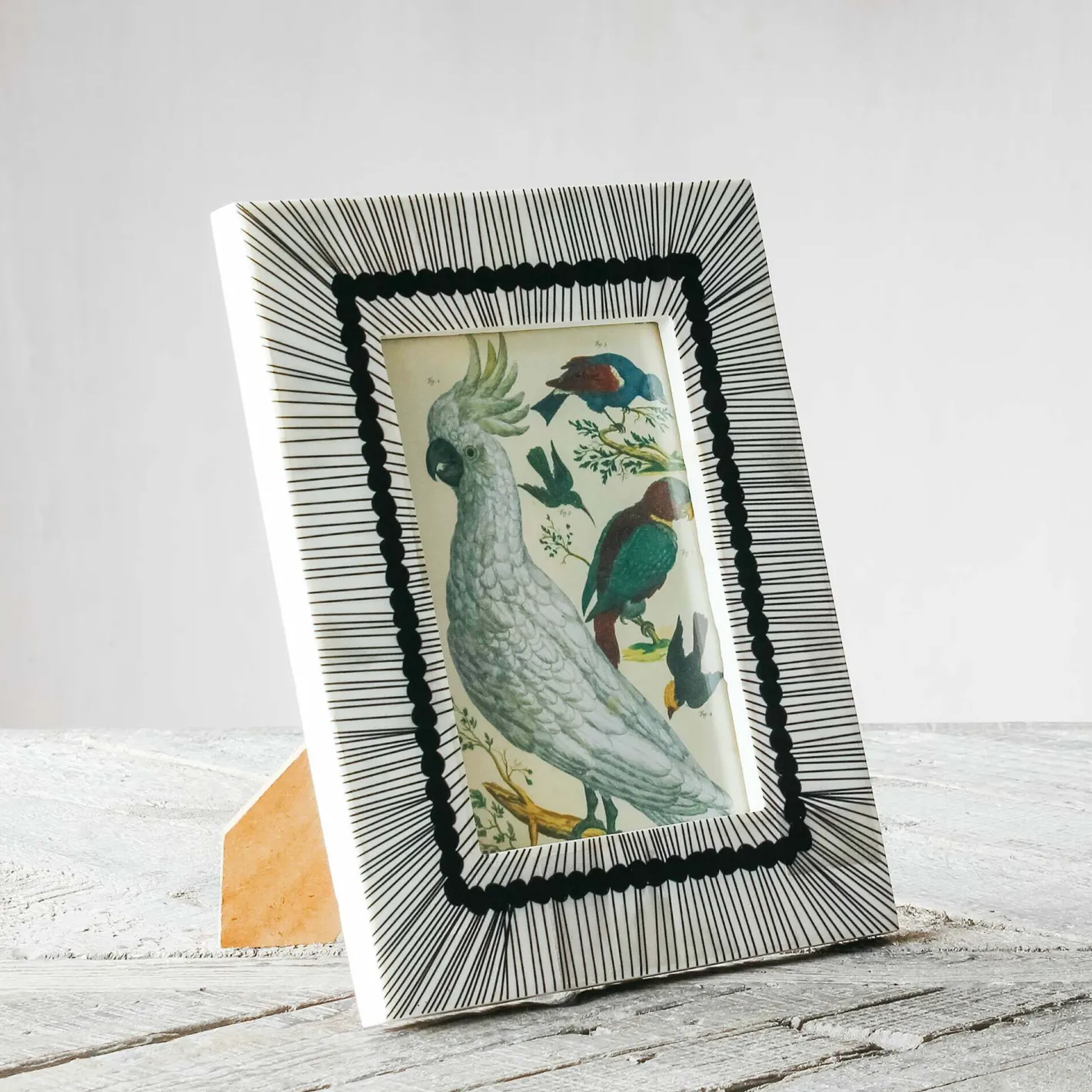 Graham & Green Photo Frames<Black and White Sketch Bone Frame