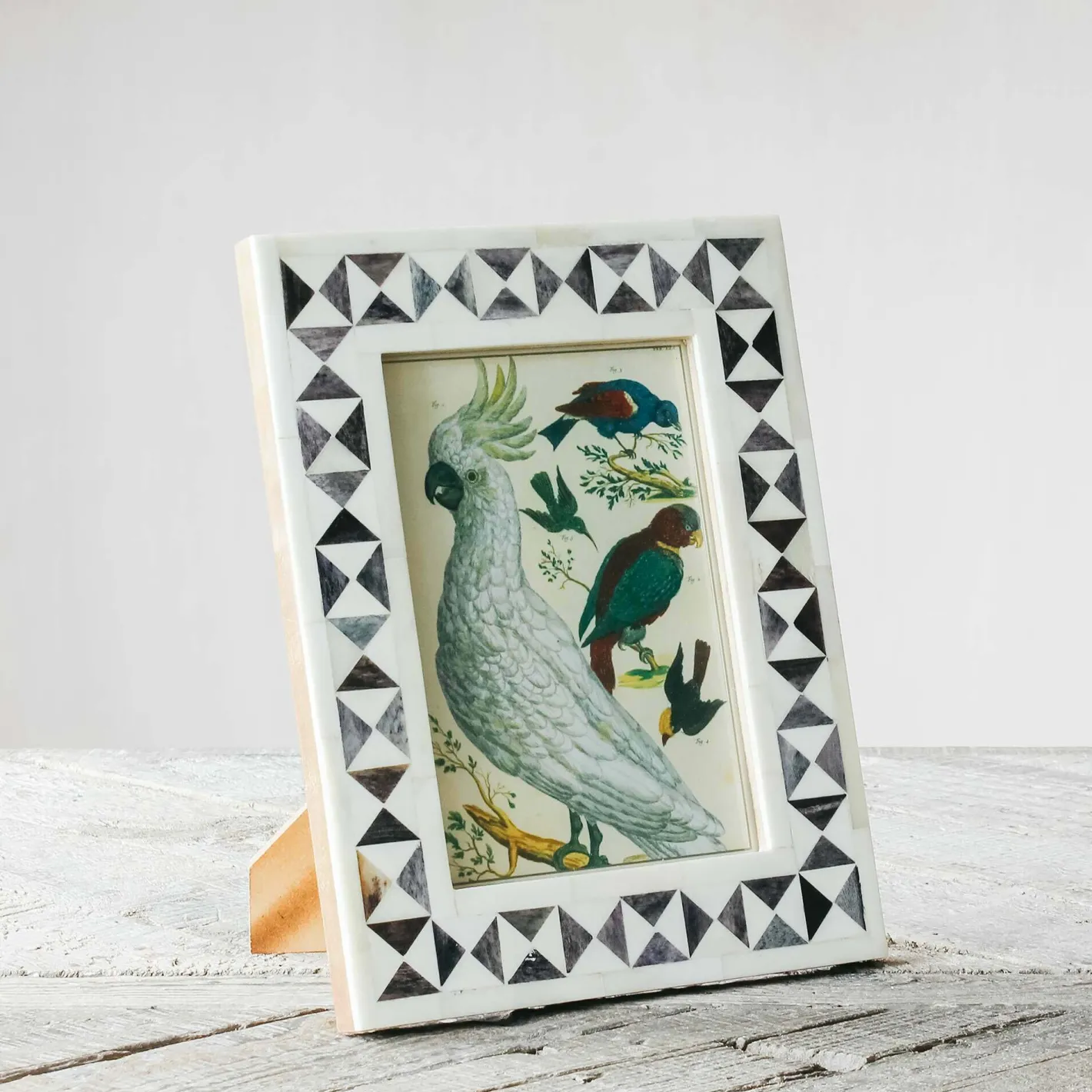 Graham & Green Photo Frames<Black and White Triangles Bone Frame