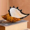 Graham & Green Decorative Accessories<Brown Speckled Glass Conch Shell