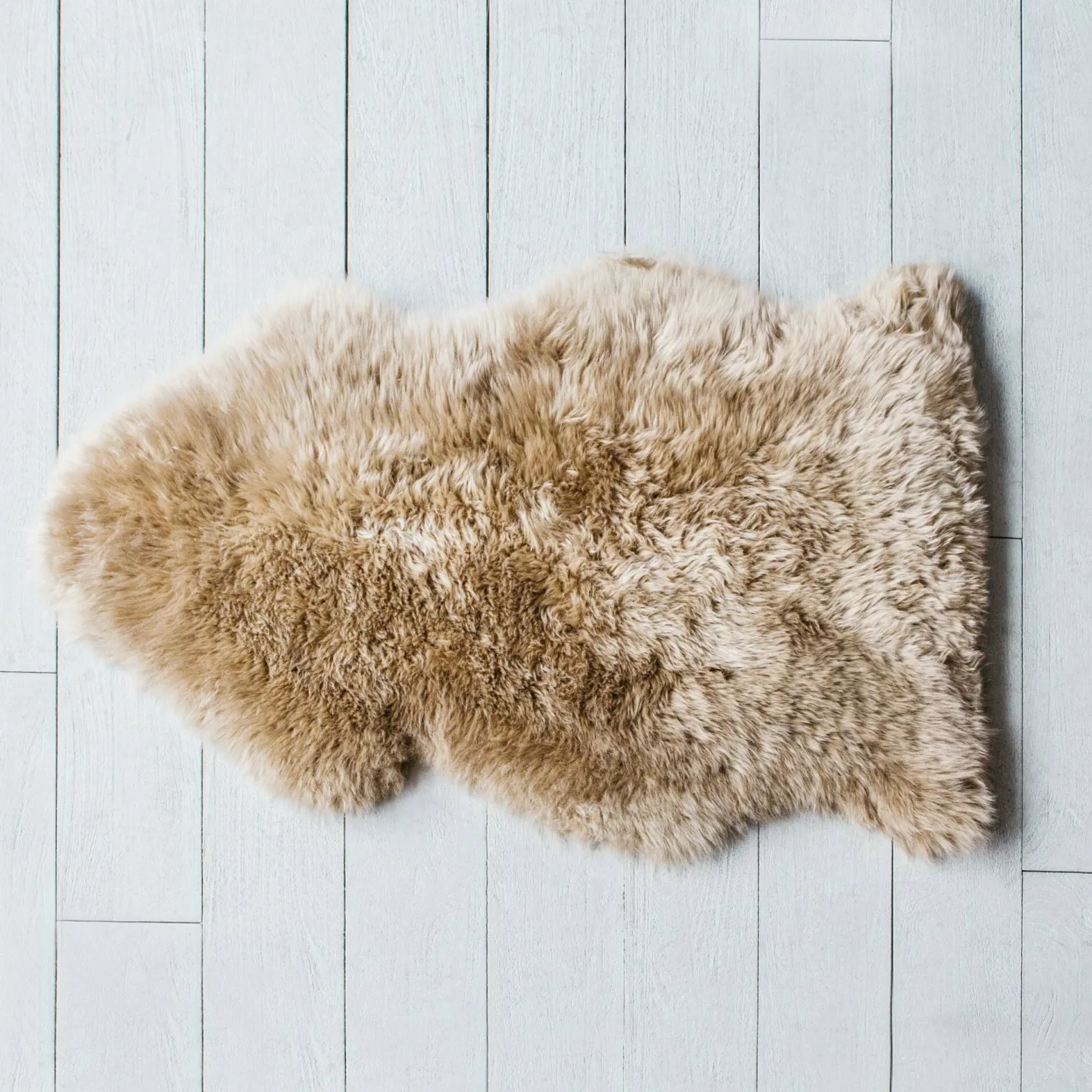 Graham & Green Sheepskins & Hides<Butterscotch Single Sheepskin
