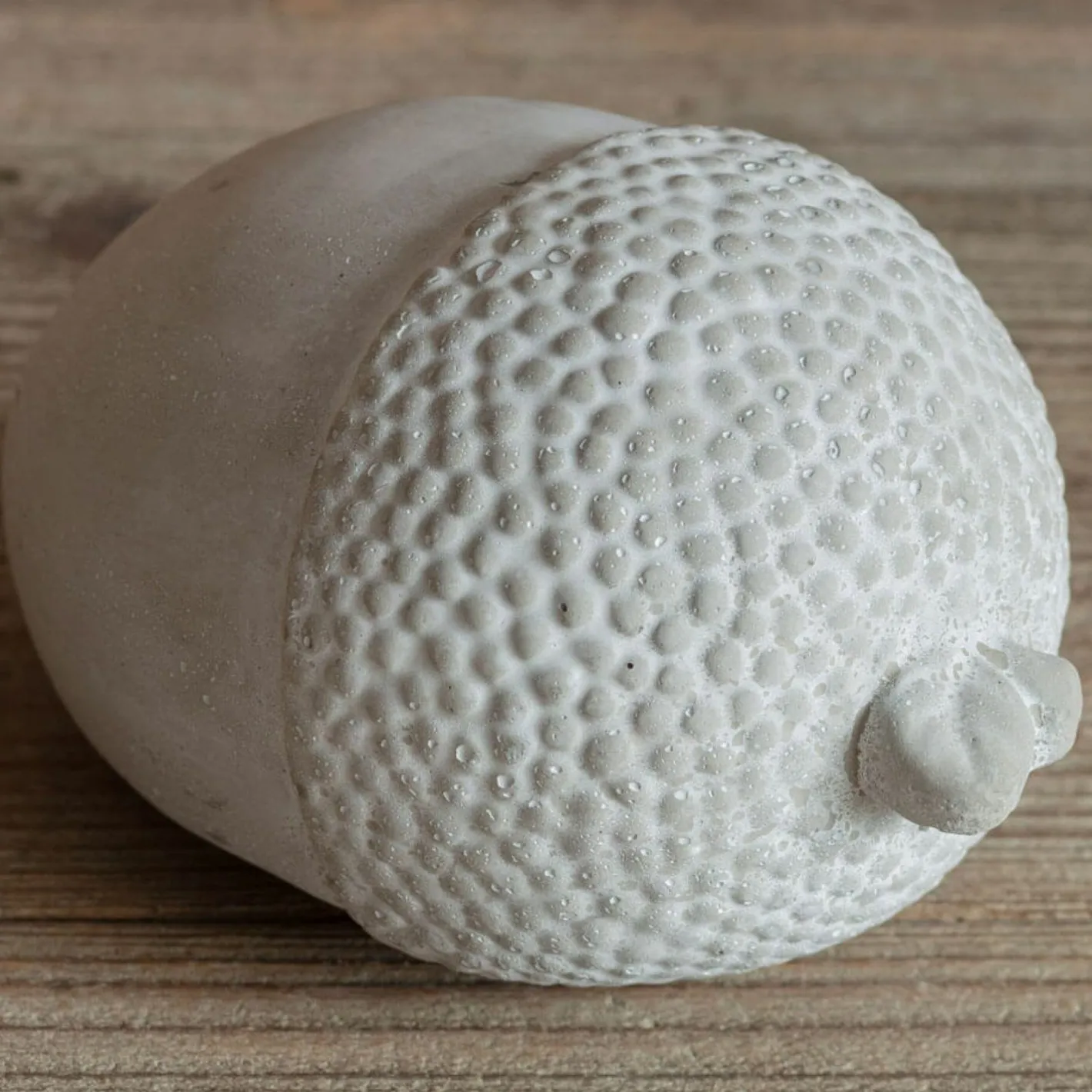 Graham & Green Decorative Accessories<Cement Acorn Ornament