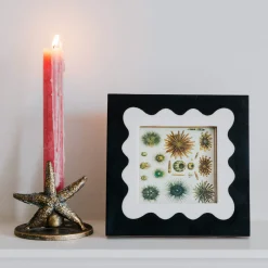 Graham & Green Photo Frames<Extra Small Mont Blanc Black and White Frame