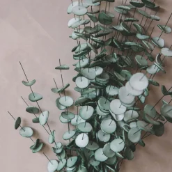 Graham & Green Faux Flowers<Faux Green Emoidi Branch
