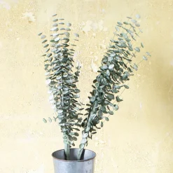 Graham & Green Faux Flowers<Faux Green Emoidi Branch