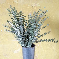 Graham & Green Faux Flowers<Faux Green Emoidi Branch