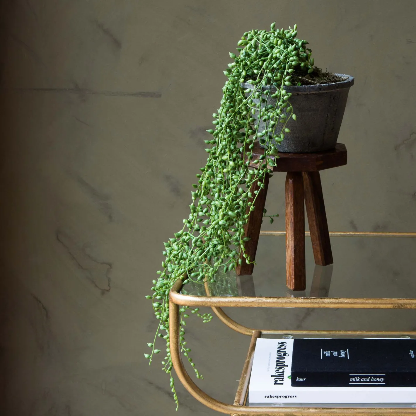 Graham & Green Faux Flowers<Faux String of Pearls in Pot