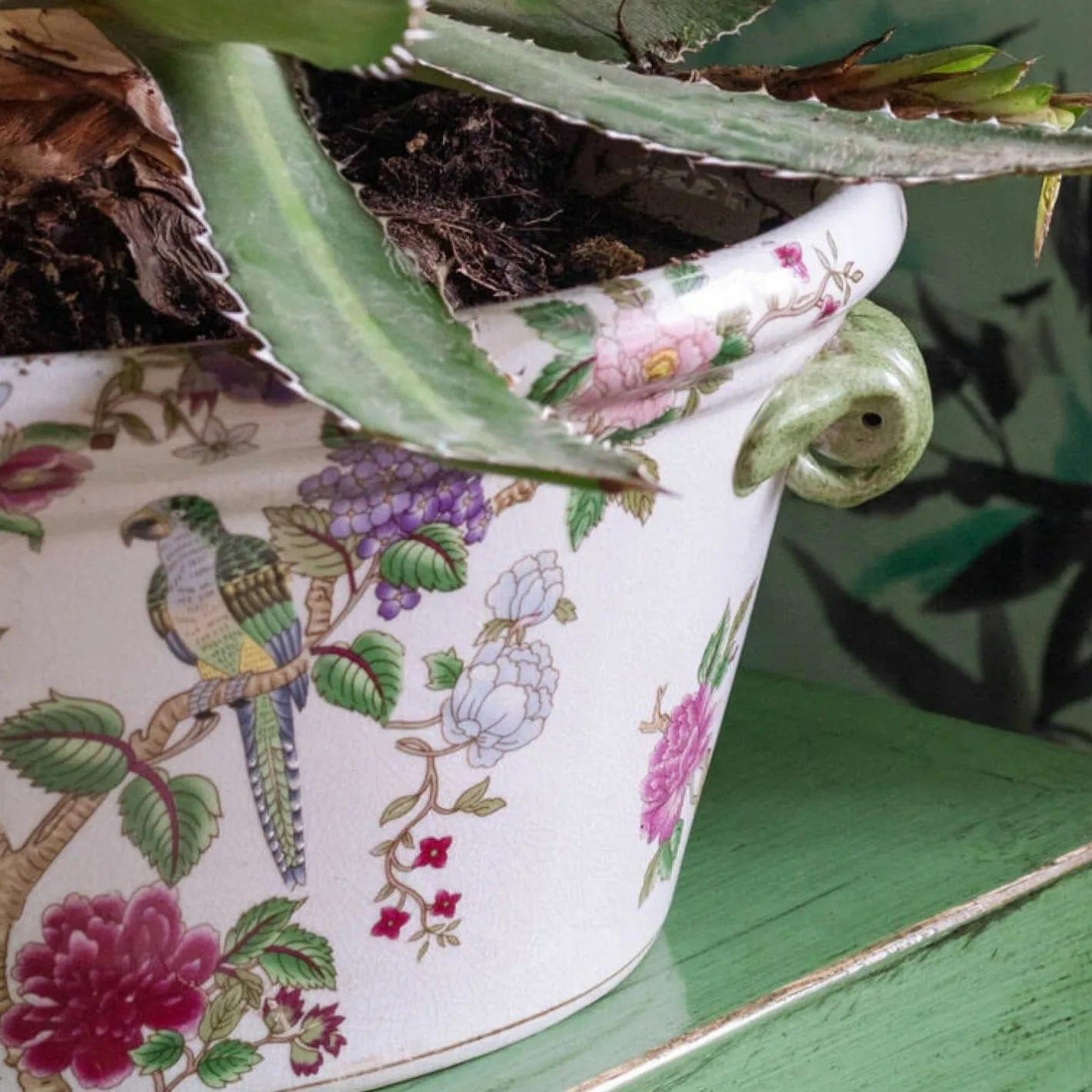 Graham & Green Vases & Plant Pots<Flowers and Parrots Plant Pot