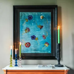 Graham & Green Prints & Wall Art<Framed Anemone Pressed Flowers