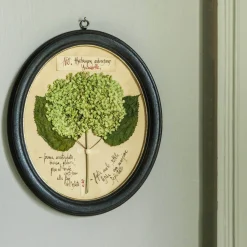 Graham & Green Prints & Wall Art<Framed Annabelle Pressed Flowers