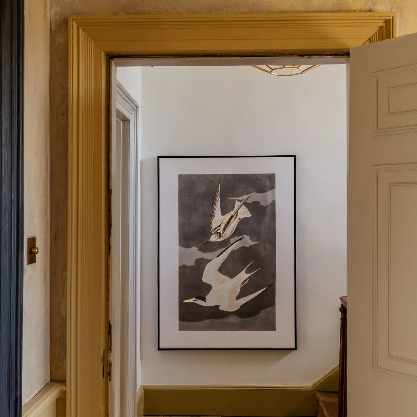 Graham & Green Prints & Wall Art<Framed Birds in Flight Print