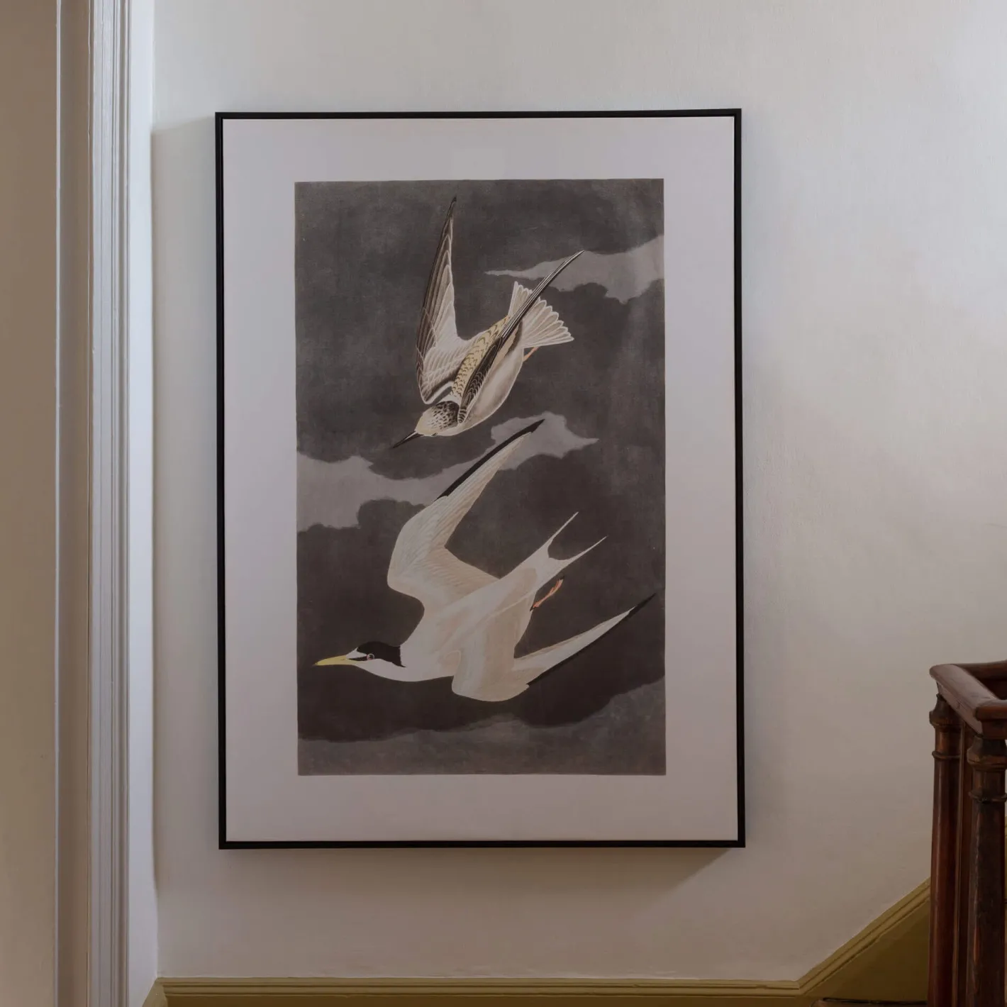 Graham & Green Prints & Wall Art<Framed Birds in Flight Print