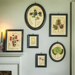 Graham & Green Prints & Wall Art<Framed Quercifolia Pressed Flowers