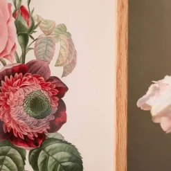 Graham & Green Prints & Wall Art<Framed Rose Anemonastrum Clematis Print