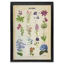 Graham & Green Prints & Wall Art<Framed Vintage Flowers Print