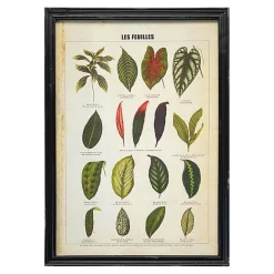 Graham & Green Prints & Wall Art<Framed Vintage Leaves Print