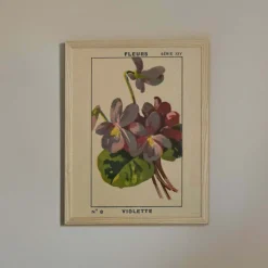 Graham & Green Prints & Wall Art<Framed Violet Print