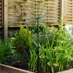 Graham & Green Garden Lights|Outdoor Lights<Green Dandelion Light Medium