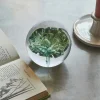 Graham & Green Bookends & Paperweights|Decorative Accessories<Green Flower Glass Ornament