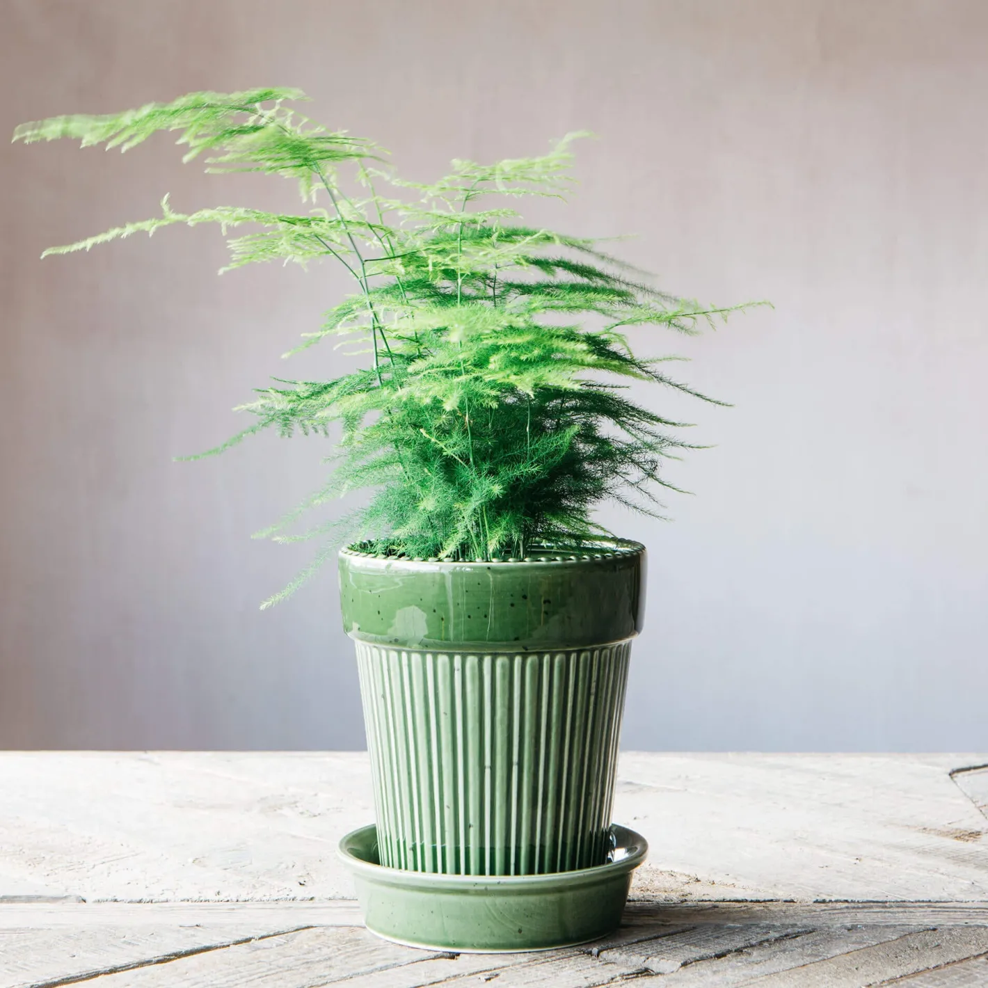 Graham & Green Vases & Plant Pots<Green Ribbed Glazed Vase