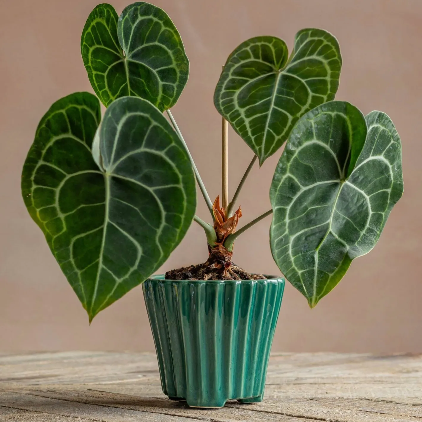 Graham & Green Vases & Plant Pots<Green Ribbed Plant Pot