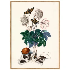 Graham & Green Prints & Wall Art<Greens and Butterflies Print with Oak Frames
