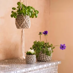 Graham & Green Vases & Plant Pots<Grey Shell Plant Pots