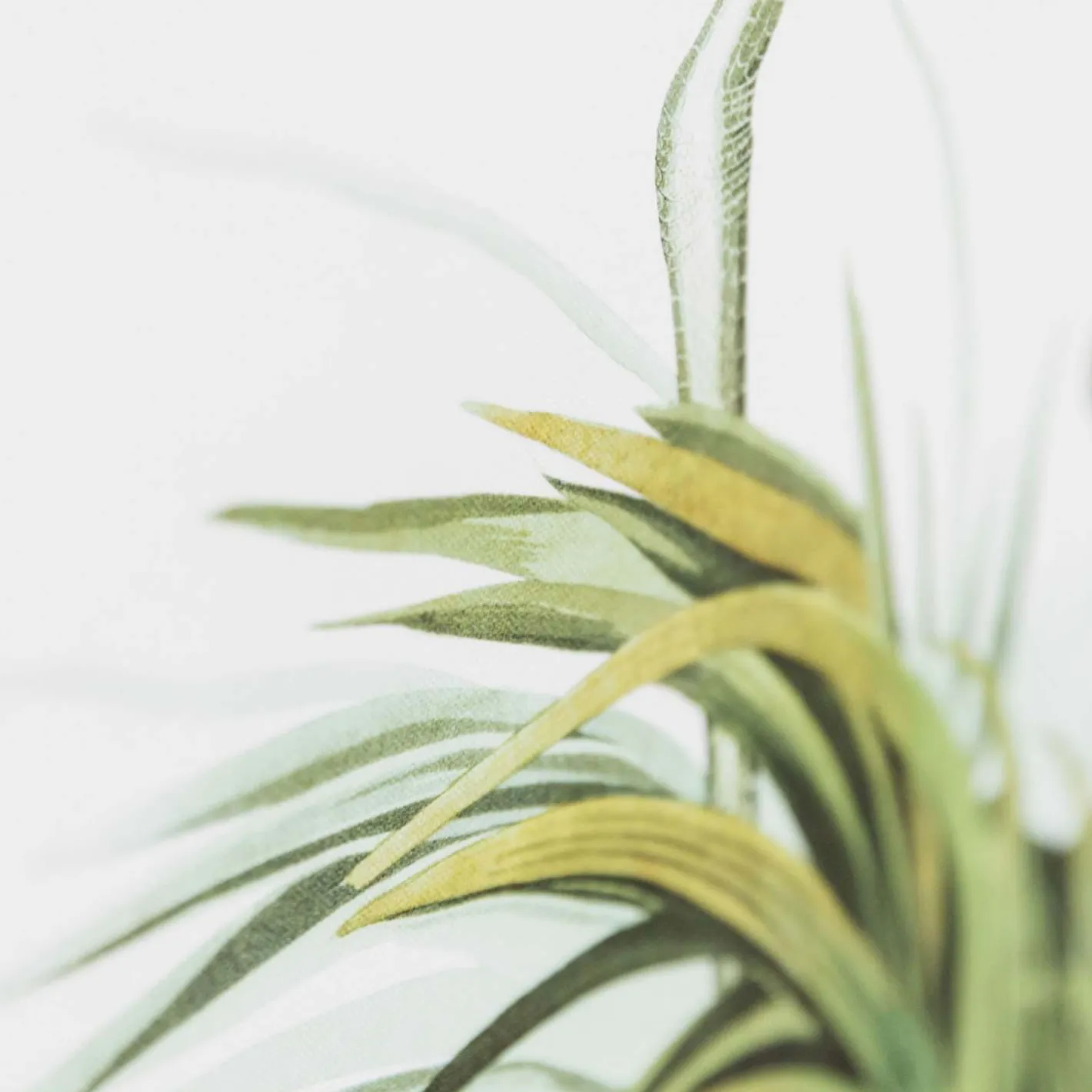 Graham & Green Prints & Wall Art<Heron Print