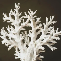 Graham & Green Decorative Accessories<Large Faux White Coral Tree