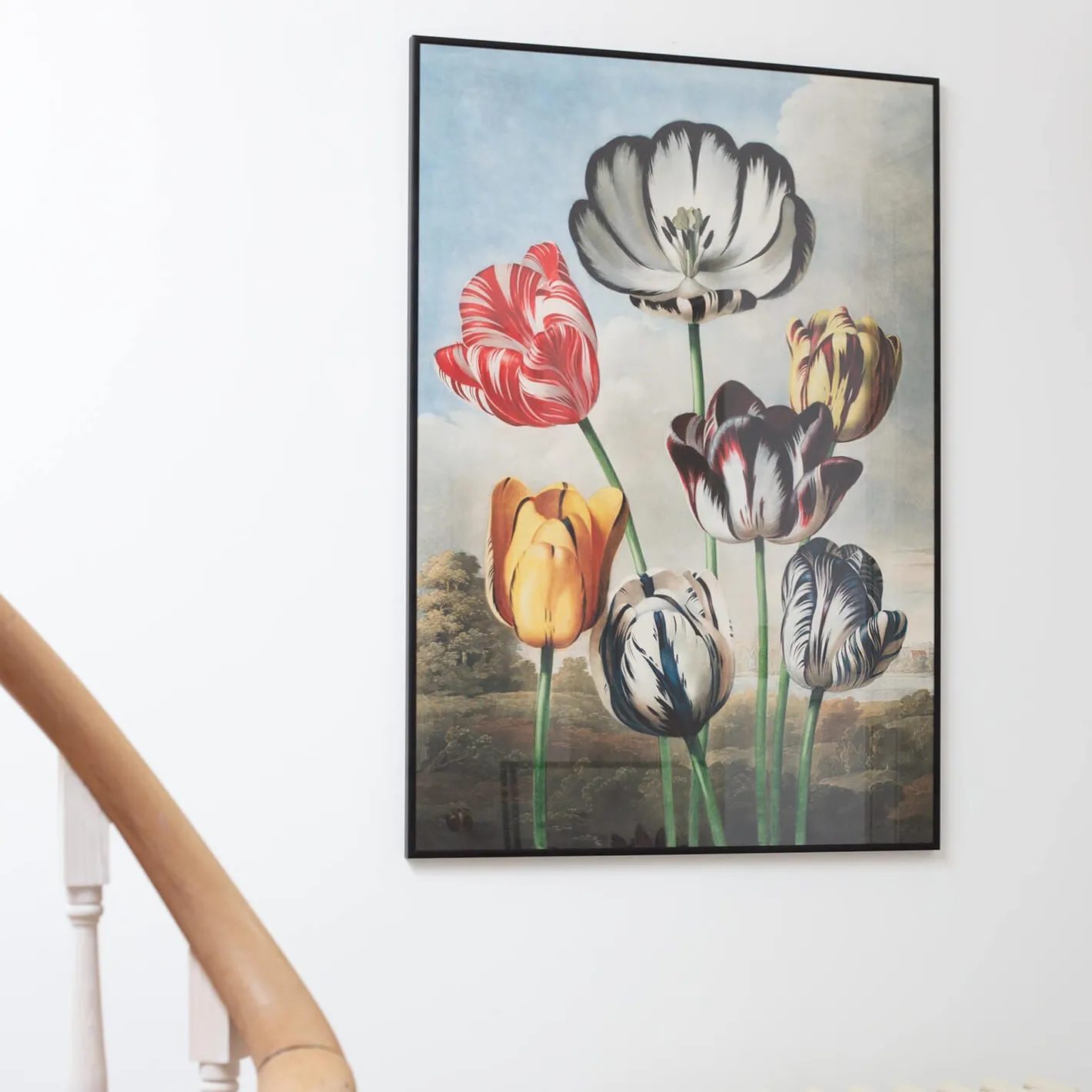Graham & Green Prints & Wall Art<Large Framed Tulips Print
