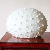 Graham & Green Table Lamps<Large Urchin Lamp