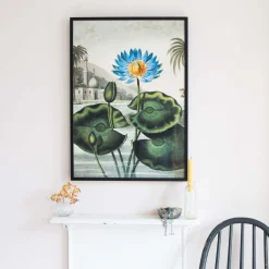 Graham & Green Prints & Wall Art<Medium Framed Blue Water Lily Print