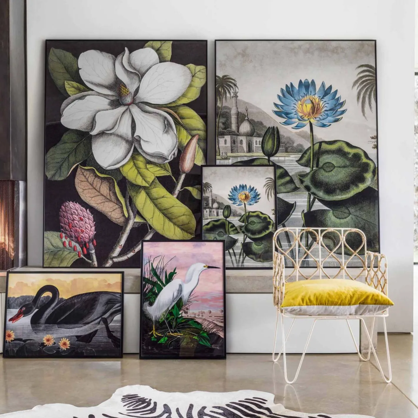 Graham & Green Prints & Wall Art<Medium Framed Blue Water Lily Print