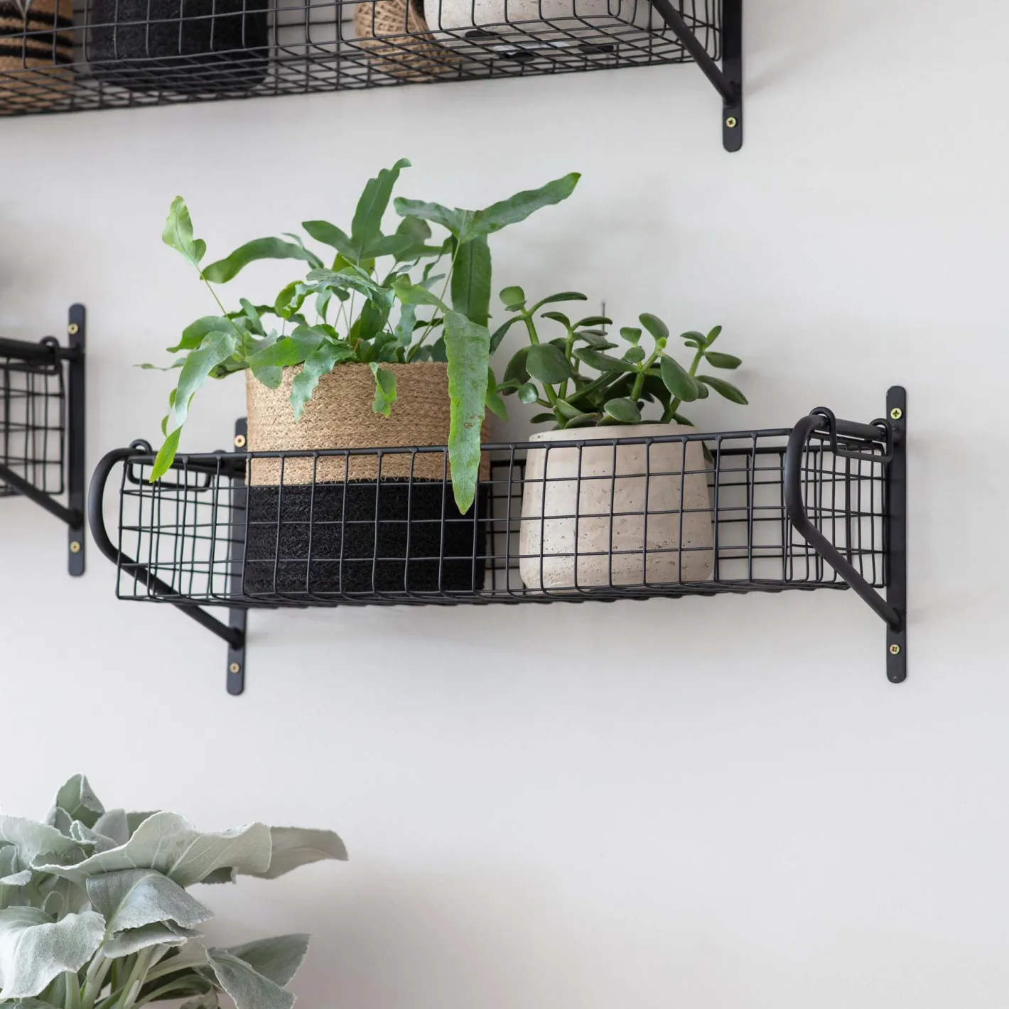 Graham & Green Shelves & Bookcases|Bathroom Accessories<Medium Wire Hanging Shelf