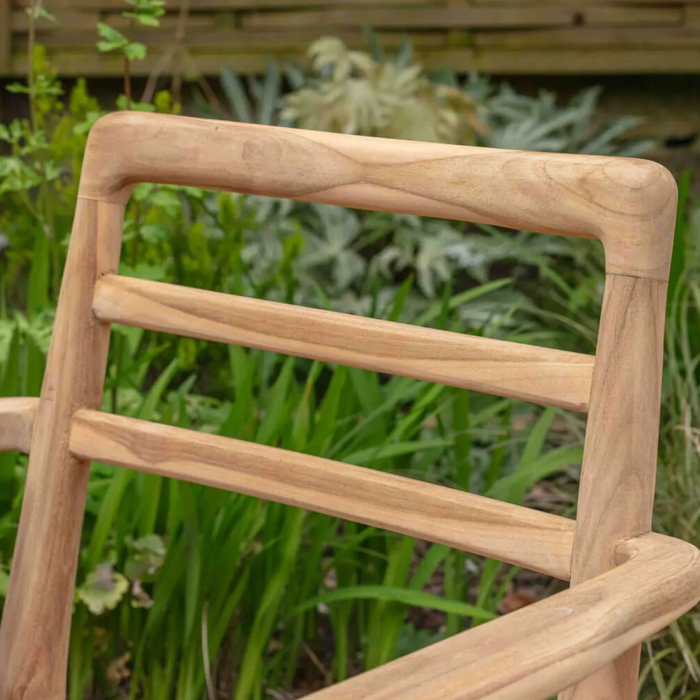 Graham & Green Garden Chairs & Sofas|Garden Chairs & Sofas<Noa Teak Outdoor Dining Armchair