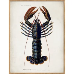 Graham & Green Prints & Wall Art<Oak Framed Lobster Prints