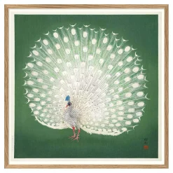 Graham & Green Prints & Wall Art<Oak Framed Peacock Prints