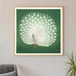 Graham & Green Prints & Wall Art<Oak Framed Peacock Prints