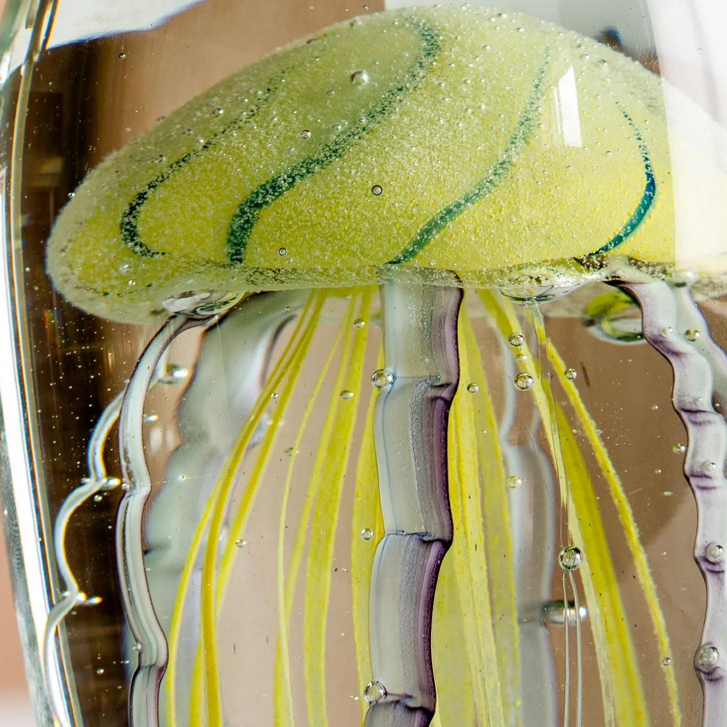 Graham & Green Bookends & Paperweights|Decorative Accessories<Oval Glass Tiger Jellyfish Paperweight