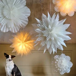 Graham & Green Ceiling Lights & Chandeliers<Paper Shades