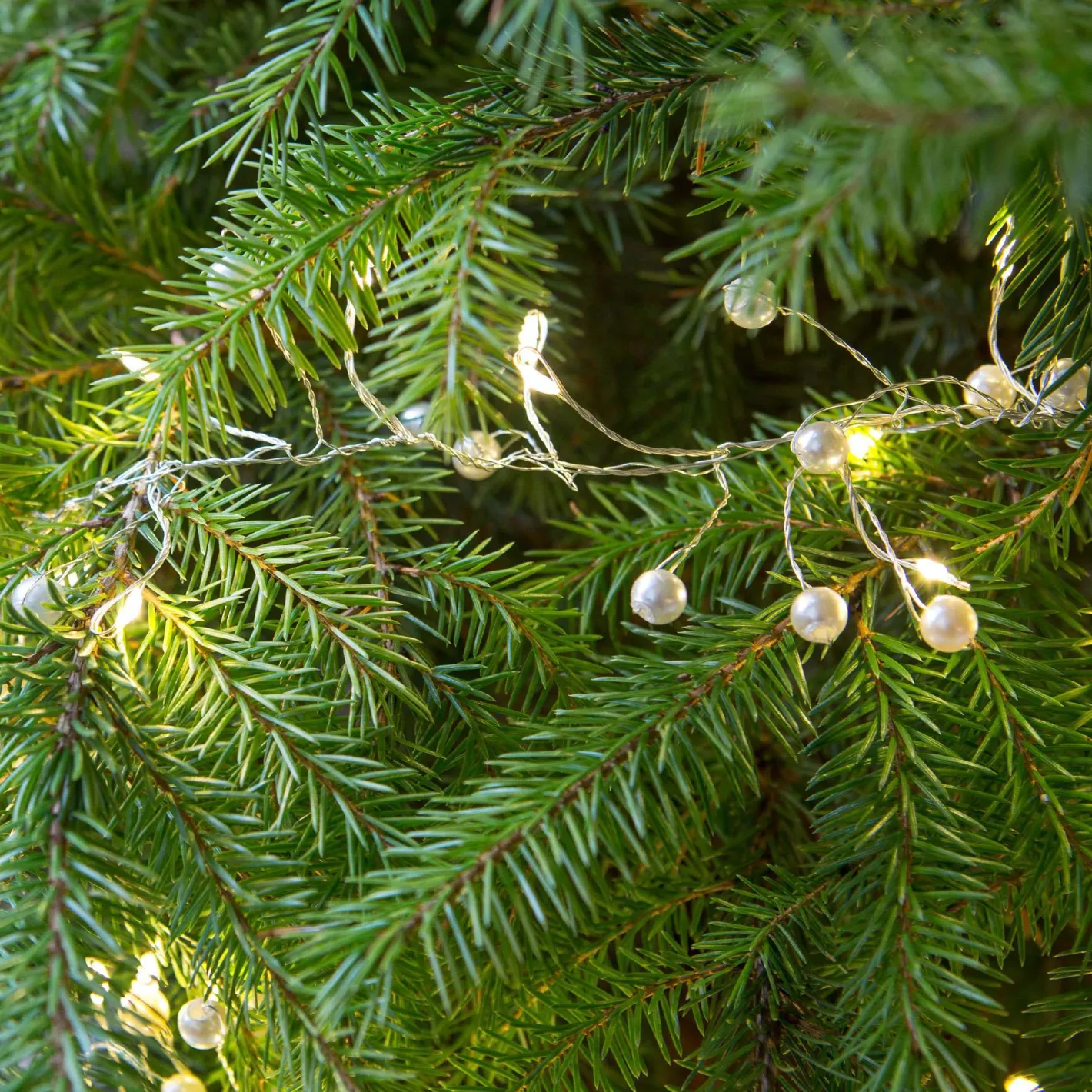 Graham & Green String Lights<Pearl Cluster String Lights