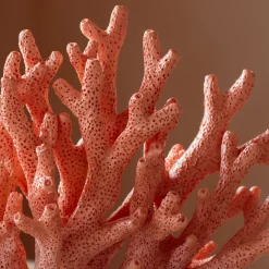 Graham & Green Decorative Accessories<Pink Faux Coral Ornament