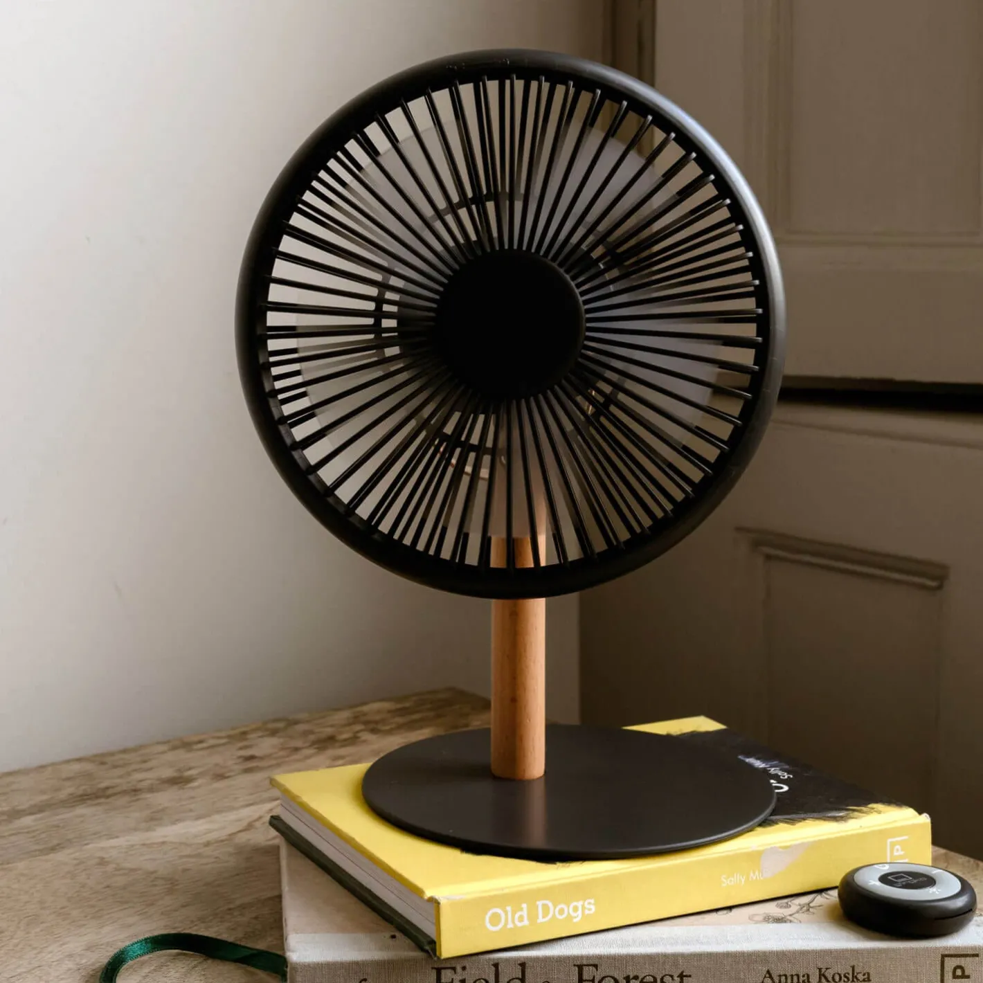 Graham & Green Outdoor Dining|Table Lamps<Portable Desk Fans with Lights