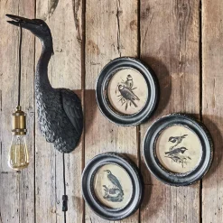 Graham & Green Prints & Wall Art<Round Framed Bird Prints