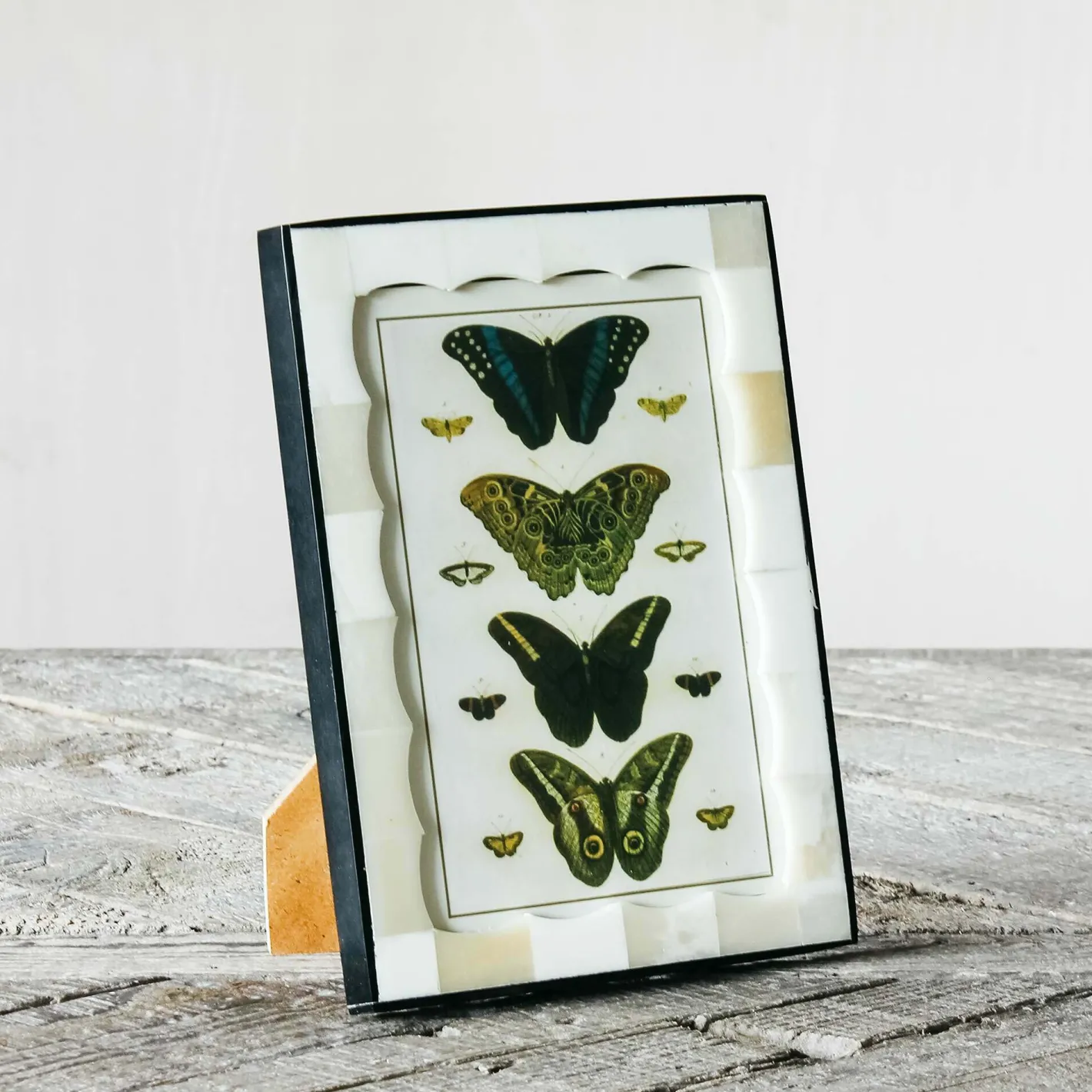 Graham & Green Photo Frames<Scalloped Bone and Horn Frame